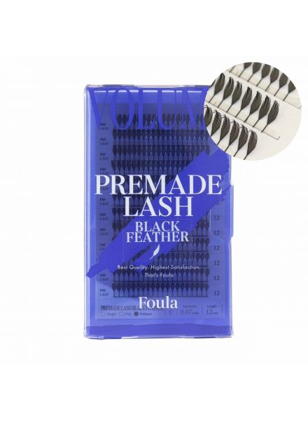 Pre-made Lashes Black Feather Type A